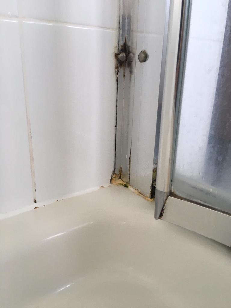 Mastic Solutions Cut out and re-seal